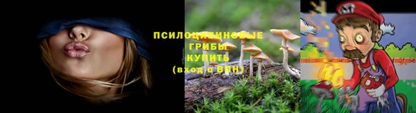 мескалин Аркадак