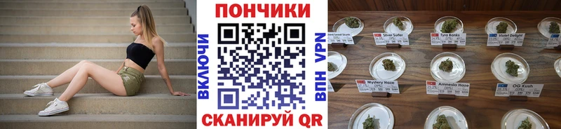 Марихуана план  закладки  Могоча 